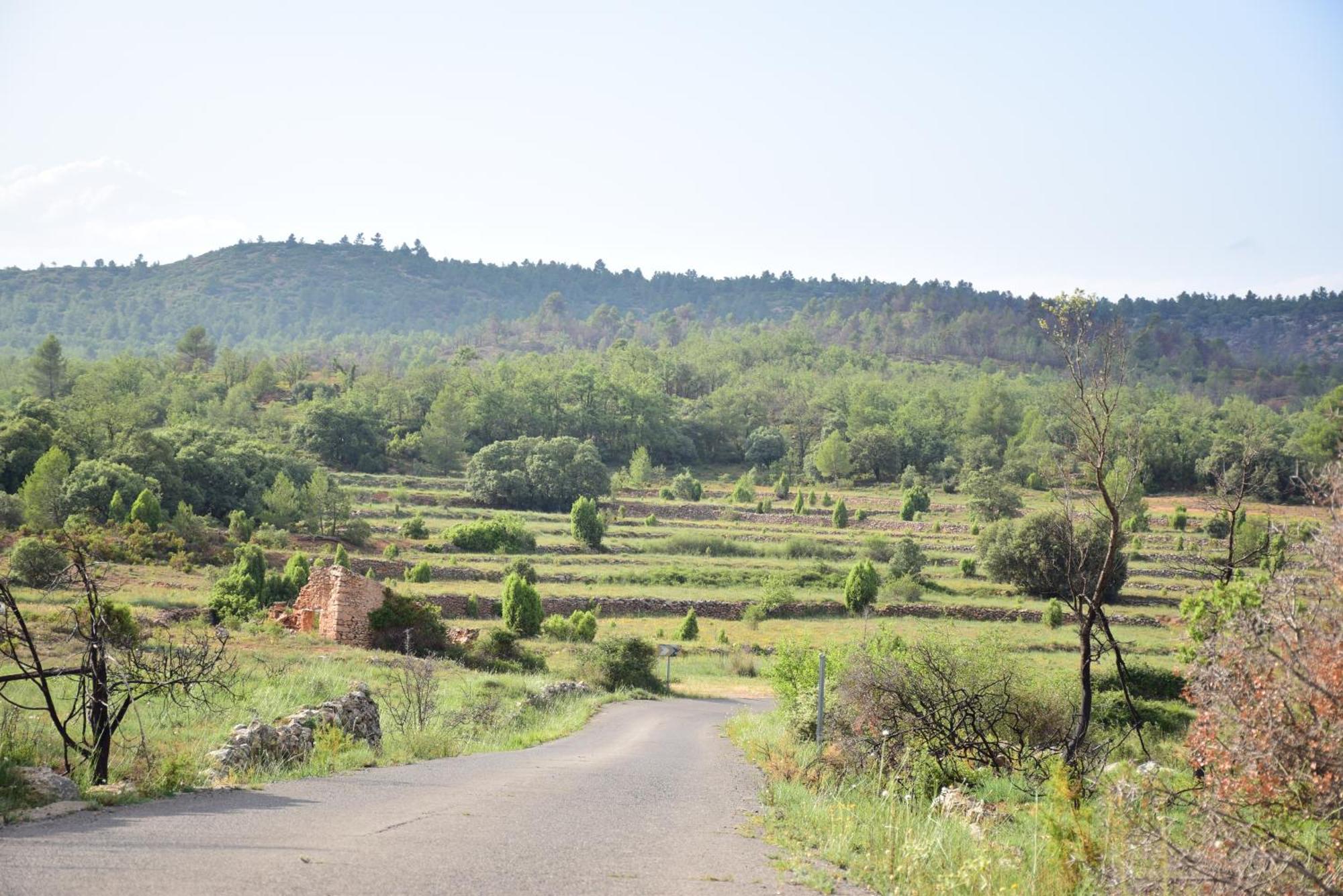 Oasis Rural Villa Los Pastores Buitenkant foto